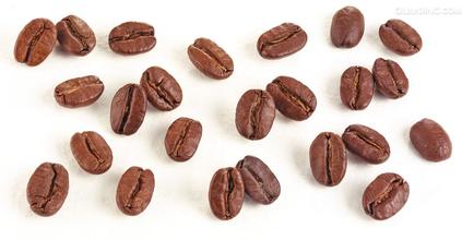 Introduction of boutique coffee beans in flavor growing environment in Dominica coffee producing area