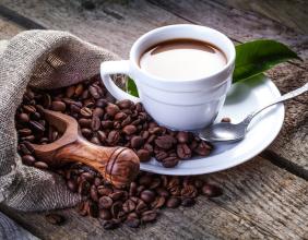 Introduction of high-quality coffee beans with special flavor in Dominican coffee producing areas