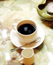 Espresso: the Source of delicious Coffee
