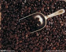 Ethiopian Sidamomo Coffee Taste characteristics and quality characteristics treatment method Grinding degree extraction time