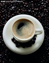 Elida Coffee Manor-International authoritative Coffee Evaluation Coffee Review