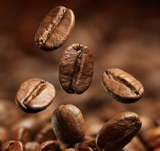 The difference between sunburned and washed coffee beans is illustrated by the process of coffee solarization.