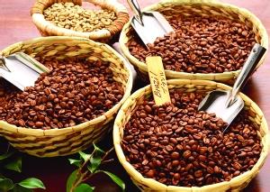 An introduction to the description of the price and flavor of Sumatran coffee beans, the characteristics of varieties and the grinding scale.