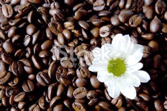 Grinding scale of Columbia Linglong Coffee Bean Variety introduction of taste treatment method