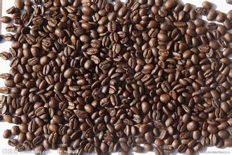 Introduction of Katim Coffee Variety characteristics of Coffee production area treatment Manor