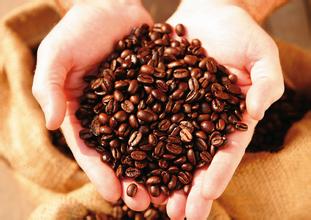 Aromatic taste of Salvador Mercedes Manor coffee beans production area treatment method introduction