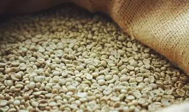 Brazil Queen Estate Yellow Bourbon Coffee Bean Grinding Scale Production Area Variety Introduction