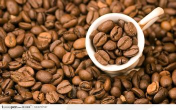 How to use Coffee Bean Grinder-- thickness and time setting of double Gear Coffee Bean Grinder