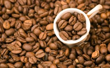 Ratio of hand-washed coffee beans to water-ratio of freshly ground coffee beans to water