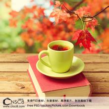 Siphon pot coffee powder thickness-coffee grounds can grow succulent plants