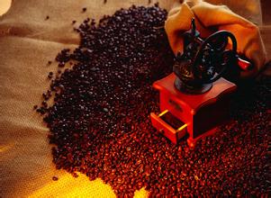 The structural treatment of coffee beans how to distinguish between good and bad coffee beans