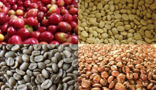 Flavor description of Honduran coffee beans Taste treatment Variety Region of origin Grinding scale