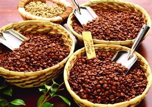 What kind of coffee powder principle is used for the shading of coffee machine powder press