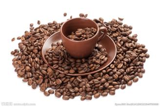 What's the difference between low altitude and high altitude coffee beans?