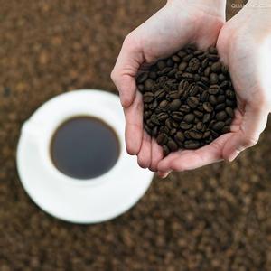 Liberian caffeine content-caffeine content of a cup of coffee