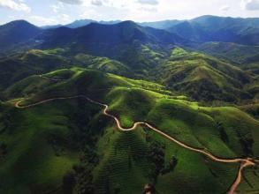 The export of Pu'er coffee beans hit a record high in the first half of the year.