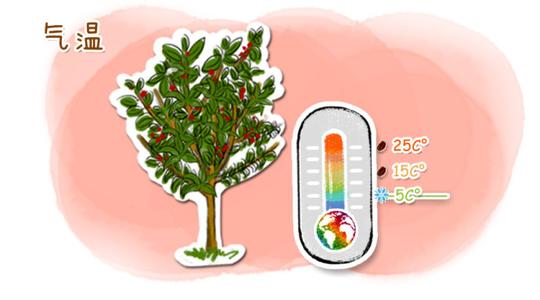 Per capita coffee consumption in Xiamen there are more than 1000 cafes in the island alone.