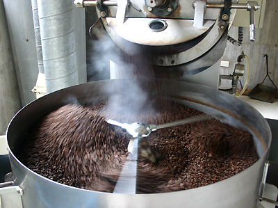 How to transplant famine coffee trees-how long does it take for coffee trees to blossom to produce ripe coffee berries