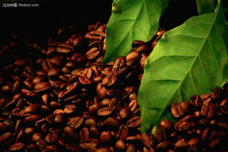 The great potential of the Chinese market has attracted the attention of Indonesian coffee companies.