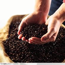 The method of Grinding and Calibration of Iron pickup Coffee beans Flavor description introduction of varieties in manor area