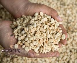 Grade of coffee beans-storage method of coffee beans Gold Manning coffee beans