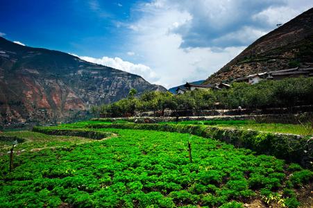 China Yunnan Coffee Plantation Trading Center Brand Environment Production Area Introduction