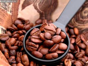 What are the details of the three continents and the introduction of the species and varieties of coffee beans?