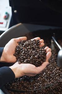 Decomposition diagram of structural names of various parts of coffee beans