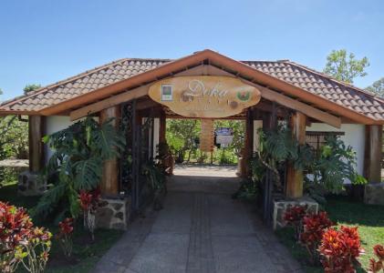 The Camellia Girl Manor of El Salvador where coffee is grown at an altitude of about 90-1500 meters above sea level