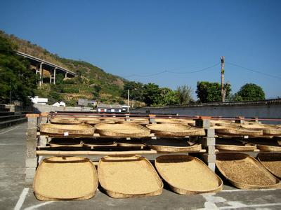 Introduction to the taste of Yunnan small grain coffee flower and fruit mountain washed with Arabica at high altitude