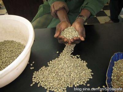 The increasingly well-known coffee production site of Los Congo Manor in Rwanda