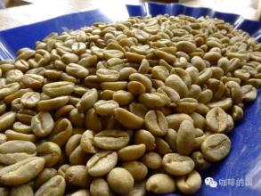 Colombia Whelan Coffee Bean Taste Flavor Description Grind Scale Variety Region