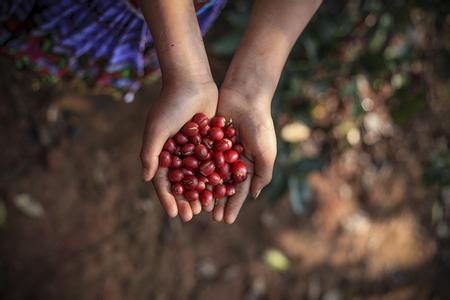 The Italian bean grinder is adjusted to the finest why the ground beans are still very thick.