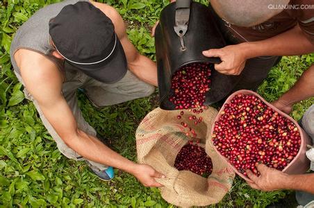 Characteristics of Nicaraguan coffee beans A brief introduction to the producing areas of grinding scale varieties by the method of flavor and taste treatment