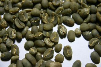 Indonesian West Java coffee beans, which dominated the world coffee market in the 18th century
