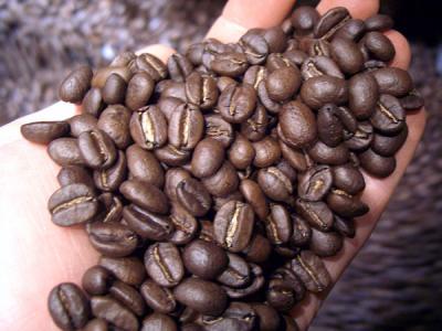 An introduction to the internal results of the fruit division and planing diagram of coffee beans