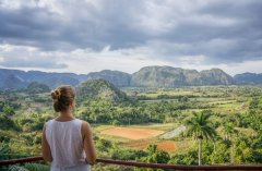 What's the difference between the Cuban Crystal Mountain and the Cuban Blue Mountain?