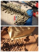 Panama Poquet Butterfly Coffee Bean-Contains coffee bean varieties that are more expensive than Blue Mountain Coffee