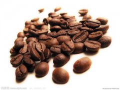 Growth environment, characteristics and development status of Robusta coffee beans
