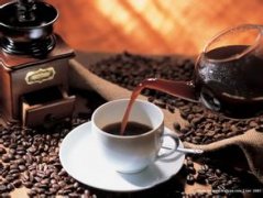 St. Cristobal Island in the Galapagos Islands breeds the best quality coffee in the world-