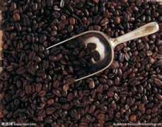 A brief introduction to the origin of boutique coffee beans-Papua New Guinea boutique coffee Papua New Guinea coffee