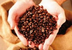 A brief introduction to the flavor description, taste characteristics and origin of Rwanda boutique coffee