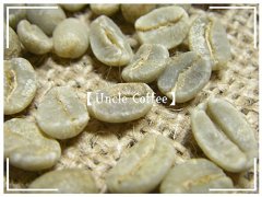 Self-roasting Cafe ~ Management Analysis-Coffee Raw beans