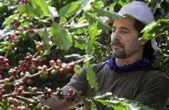 The coffee culture of Costa Rica, the happiest country in the world.