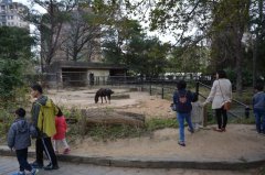 Zoo Director's Idea--Drinking Coffee in Animal Cage