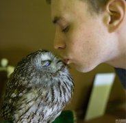 Owls are cute in owl cafes in Moscow.