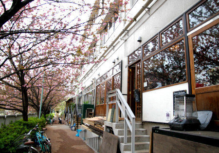 Such as animation scene reproduction: Tokyo Sakura Cafe