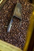 A brief introduction to the planting Market Price of Tanzania Fine Coffee Bean varieties with strong aroma