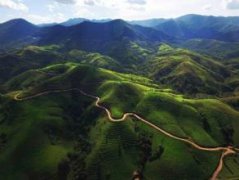 A brief introduction to the cultivation of medium-grained Vietnamese boutique coffee beans, geographical location, climate and altitude
