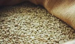 A brief introduction to the cultivation of bright and juicy Yega Xuefei boutique coffee beans, geographical location, climate and altitude